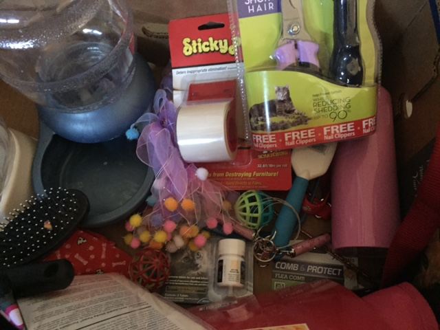 Pet Supply Lot [Photo 3]