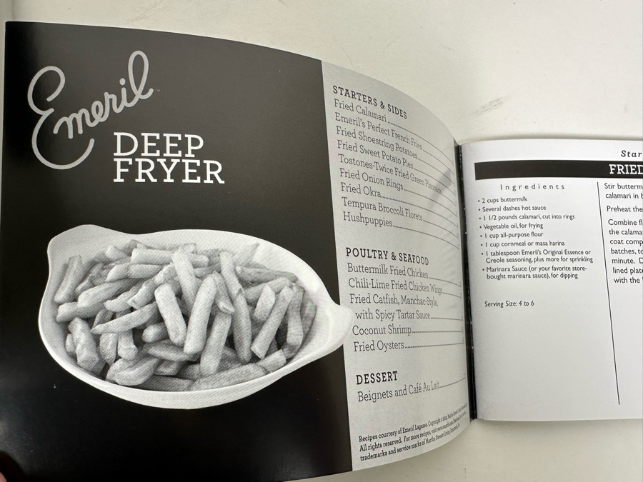 Emeril Deep Fryer Model SERIE F36-C [Photo 8]