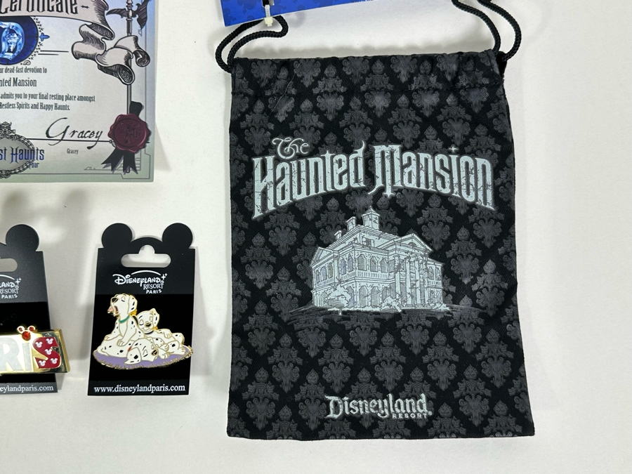 TBDSeven Disney Trading Pins With Cards And The Haunted Mansion Disneyland Resort Drawstring Trading Pouch [Photo 8]