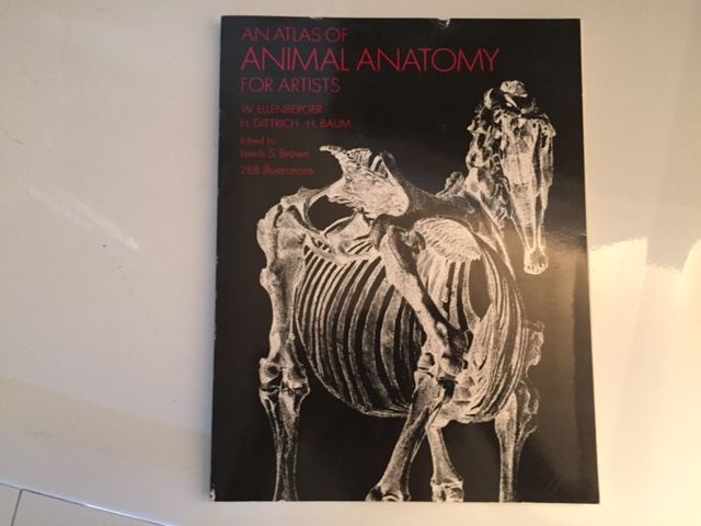 Animal Anatomy Book [Photo 1]