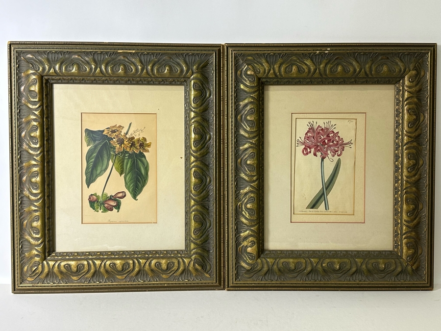 JUST ADDED - Pair Of Antique Botanical Prints 6 X 9.5 Framed 17 X 20 [Photo 2]