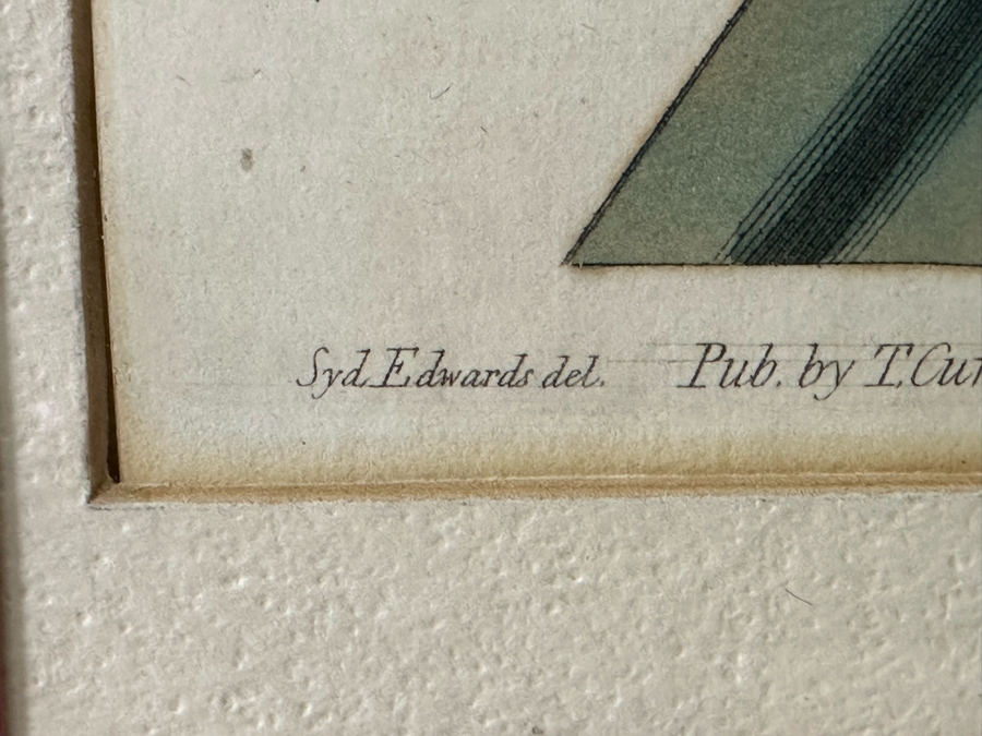 JUST ADDED - Pair Of Antique Botanical Prints 6 X 9.5 Framed 17 X 20 [Photo 11]