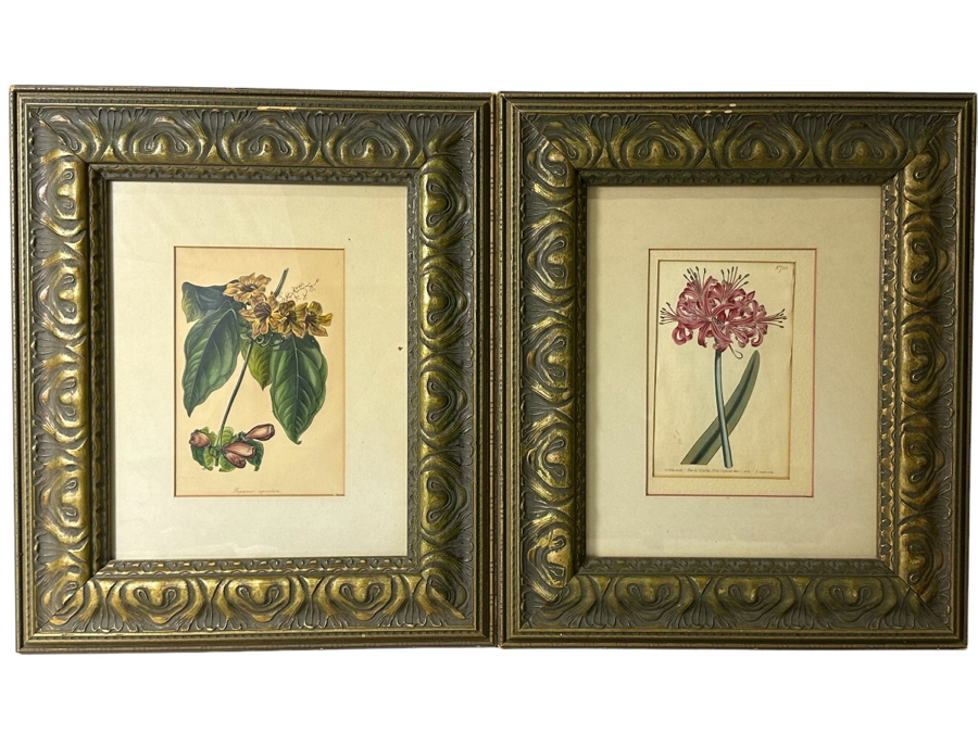 JUST ADDED - Pair Of Antique Botanical Prints 6 X 9.5 Framed 17 X 20