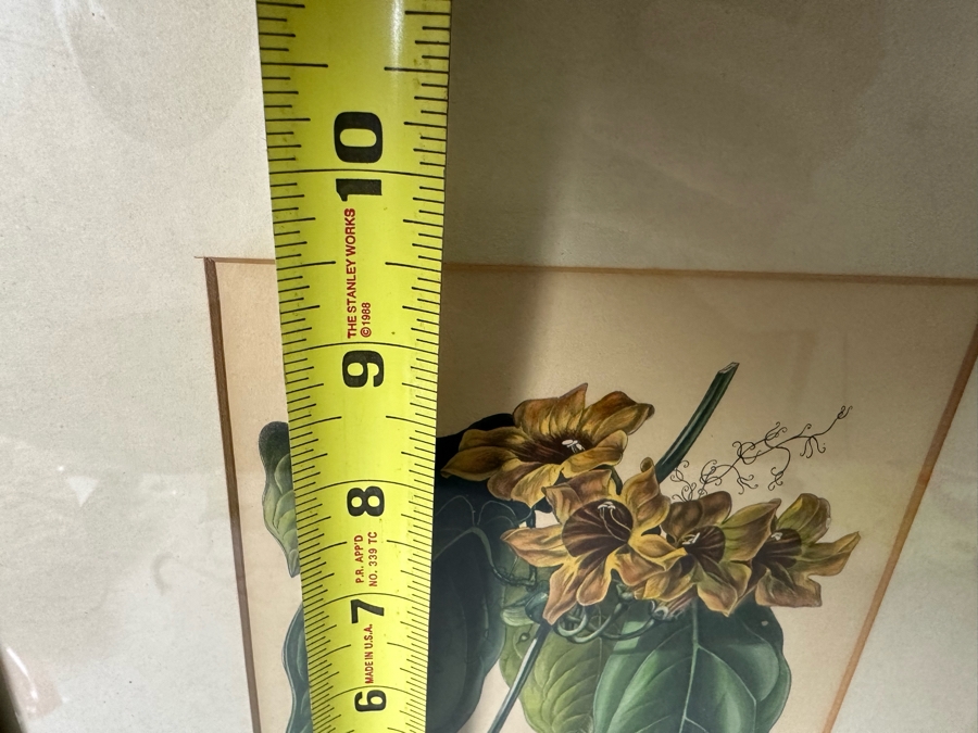 JUST ADDED - Pair Of Antique Botanical Prints 6 X 9.5 Framed 17 X 20 [Photo 15]