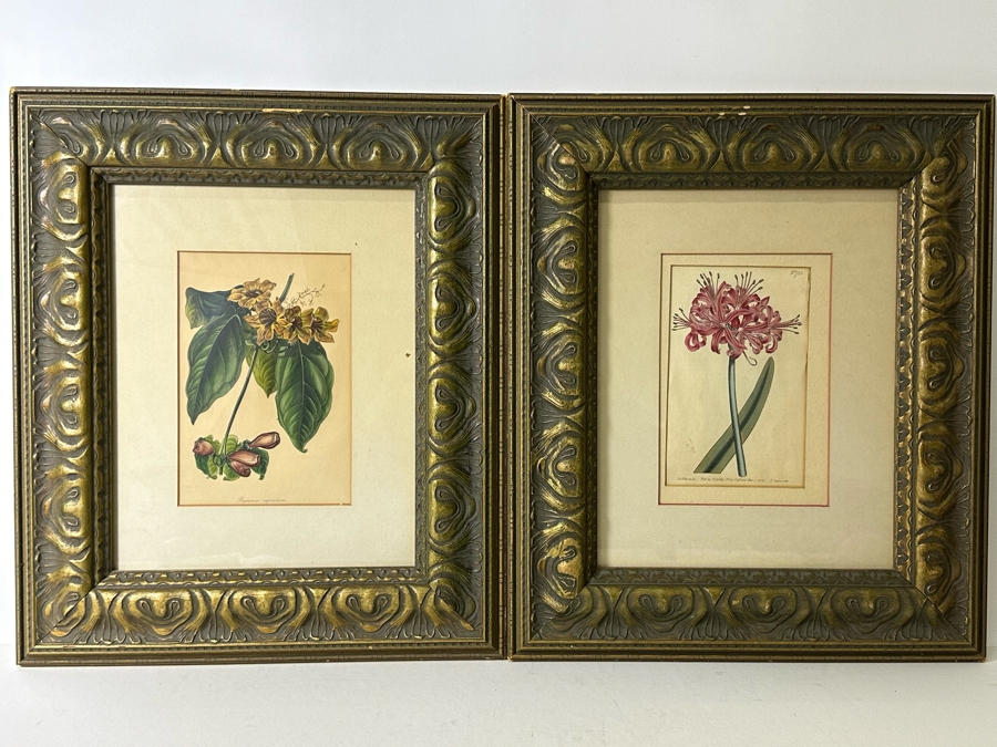 JUST ADDED - Pair Of Antique Botanical Prints 6 X 9.5 Framed 17 X 20 [Photo 3]