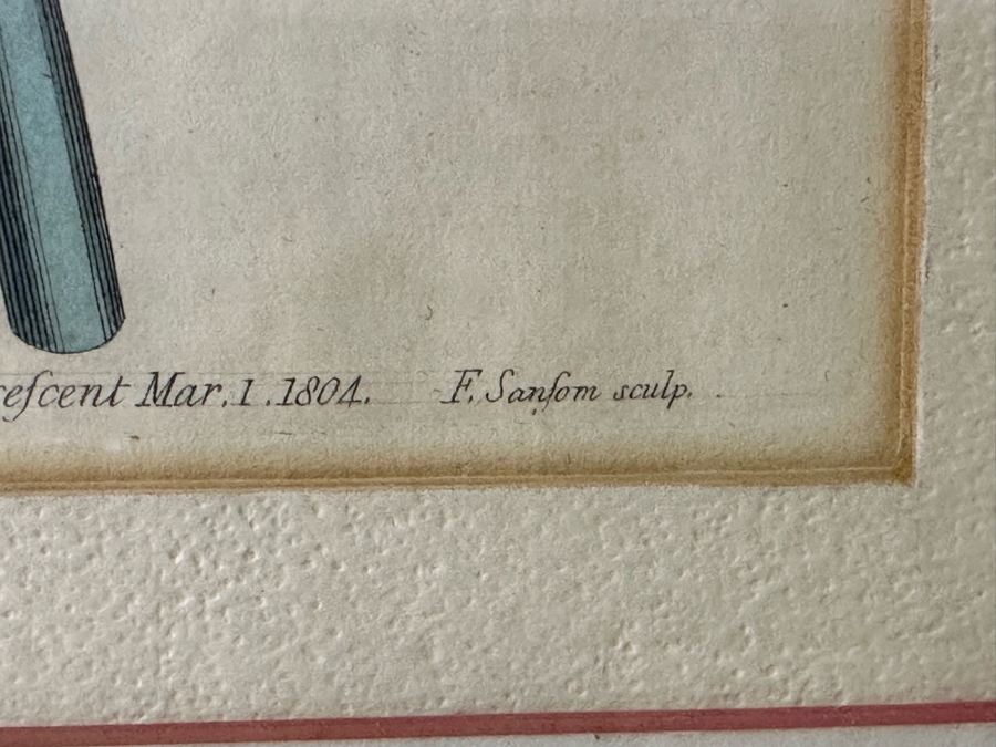 JUST ADDED - Pair Of Antique Botanical Prints 6 X 9.5 Framed 17 X 20 [Photo 13]