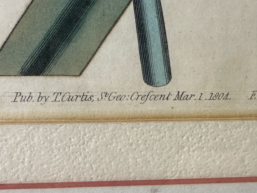 JUST ADDED - Pair Of Antique Botanical Prints 6 X 9.5 Framed 17 X 20 [Photo 12]