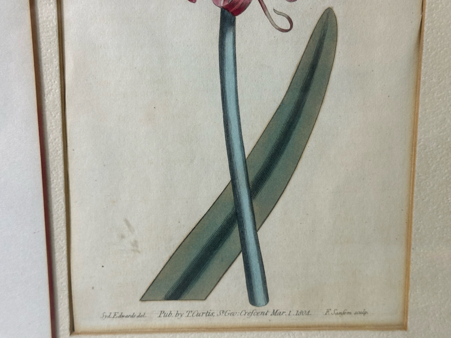 JUST ADDED - Pair Of Antique Botanical Prints 6 X 9.5 Framed 17 X 20 [Photo 10]