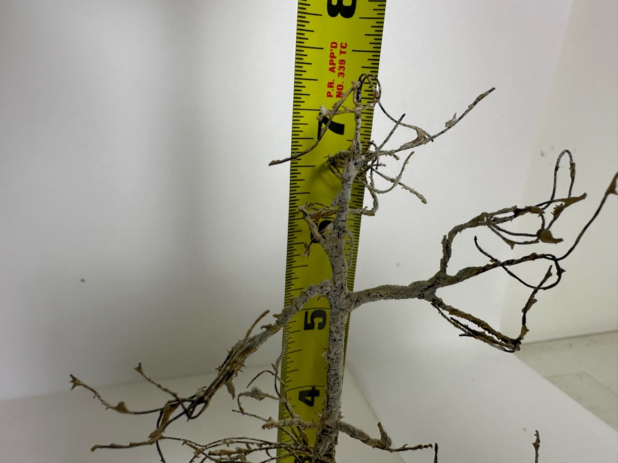 Hand Painted Historex Plastic Miniature Military Figurines Toy Soldiers On Horse By Dr. David D. Michaels 7W X 5D X 7.5H [Photo 17]