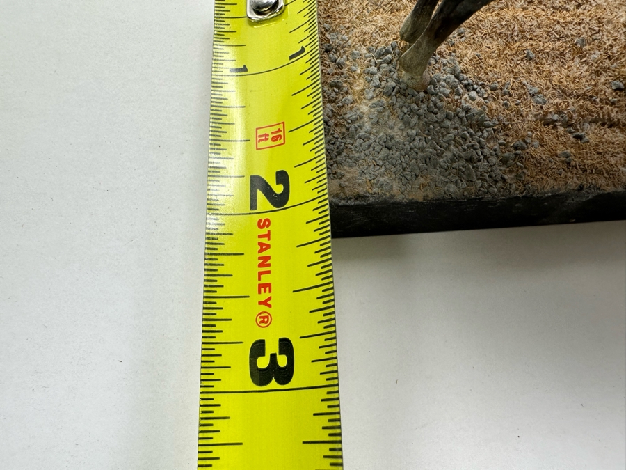 Hand Painted Historex Plastic Miniature Military Figurine Toy Soldier On Horse By Dr. David D. Michaels 4W X 3D X 4.5H [Photo 11]