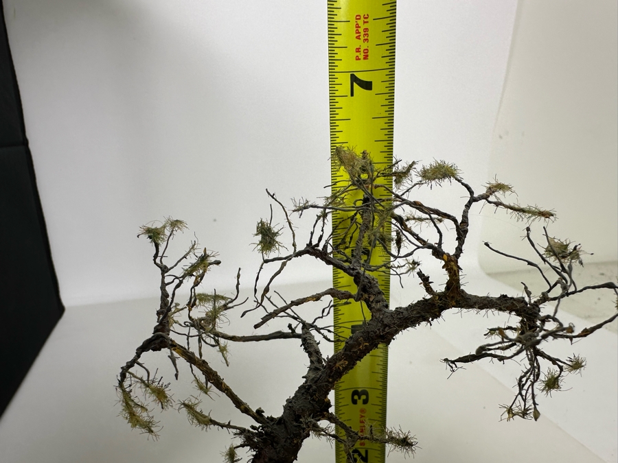 Hand Painted Plastic Miniature Figurines German 1st Century Man Versus Grizzly Bear Scene By Dr. David D. Michaels 5W X 3D X 6.5H [Photo 16]