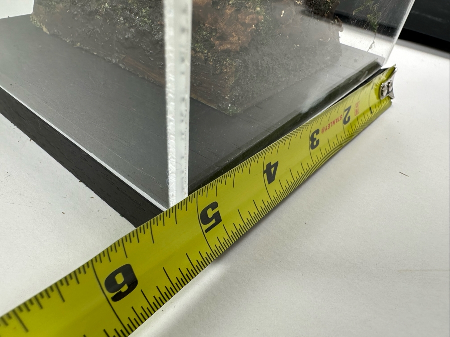 Hand Painted Metal Tin Miniature Military Figurines Toy Soldiers By Dr. David D. Michaels With Wooden Stand And Acrylic Cover 5W X 8H [Photo 17]