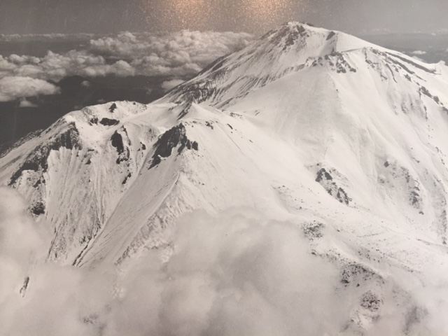 Pair of Stunning B&W Photos [Photo 5]