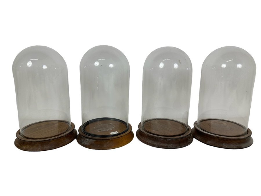 Wooden Stands With Glass Domes 5W X 8H [Photo 1]