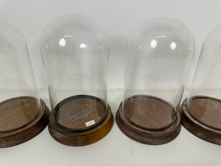 Wooden Stands With Glass Domes 5W X 8H [Photo 3]