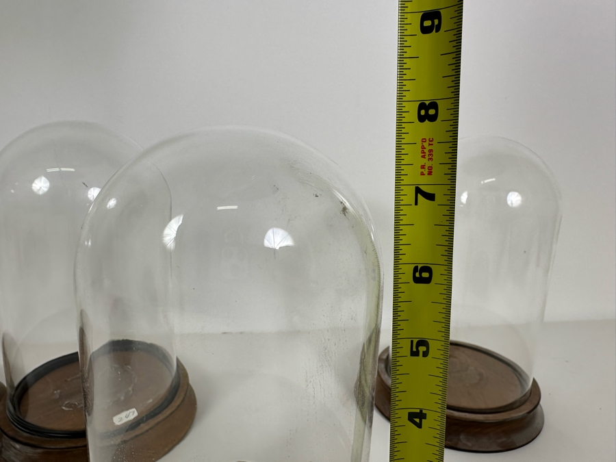 Wooden Stands With Glass Domes 5W X 8H [Photo 5]