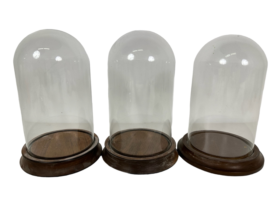 Wooden Stands With Glass Domes 5W X 8H [Photo 1]
