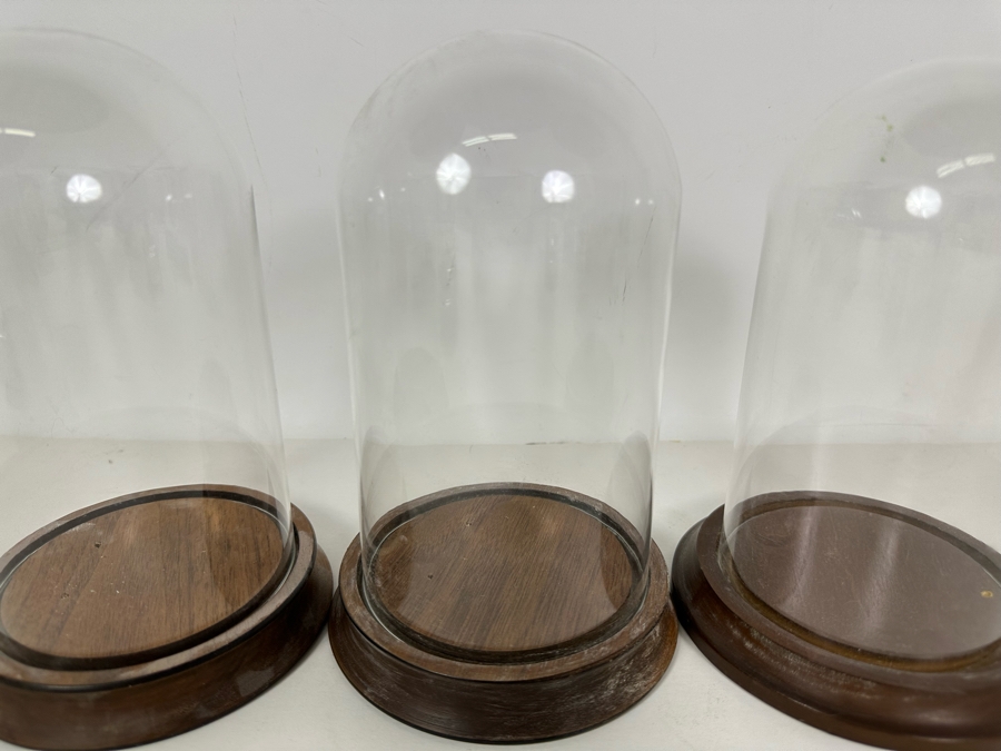 Wooden Stands With Glass Domes 5W X 8H [Photo 3]