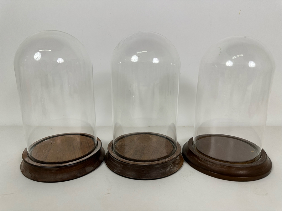 Wooden Stands With Glass Domes 5W X 8H [Photo 2]