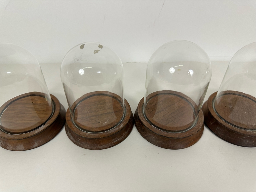 Wooden Stands With Glass Domes 4W X 5H [Photo 3]