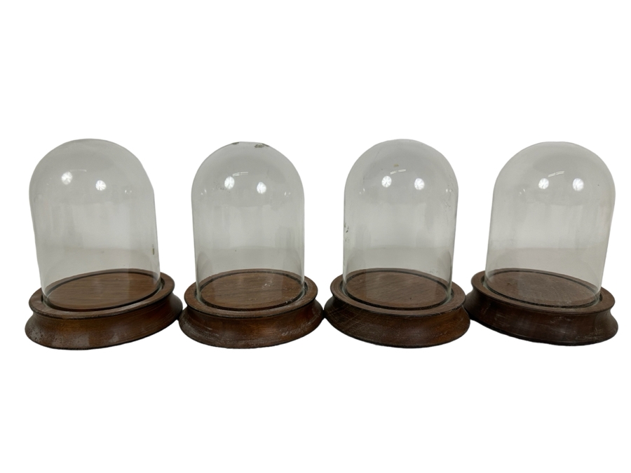 Wooden Stands With Glass Domes 4W X 5H [Photo 1]