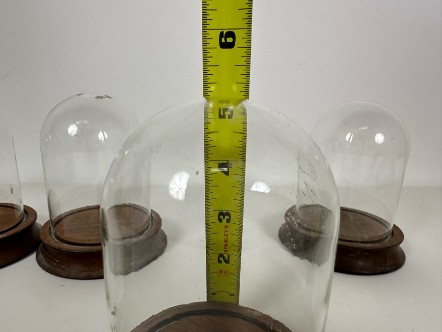 Wooden Stands With Glass Domes 4W X 5H [Photo 6]