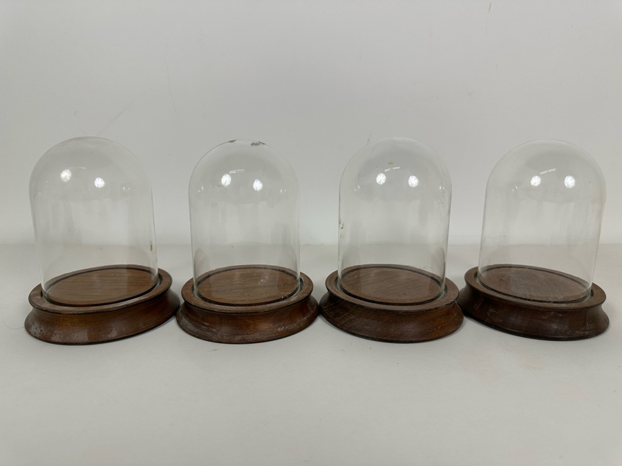 Wooden Stands With Glass Domes 4W X 5H [Photo 2]