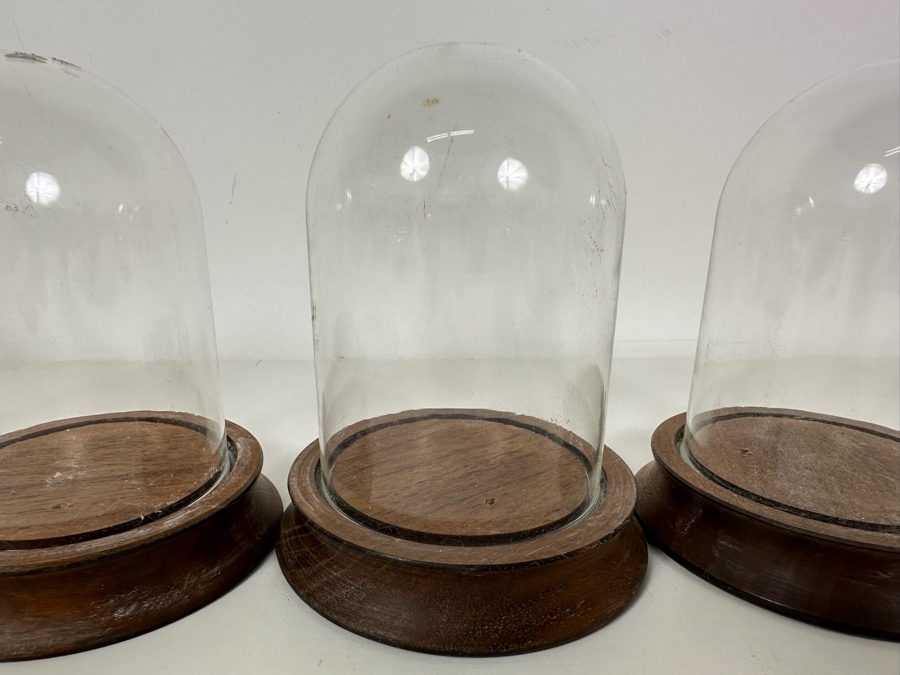 Wooden Stands With Glass Domes 4W X 5H [Photo 4]