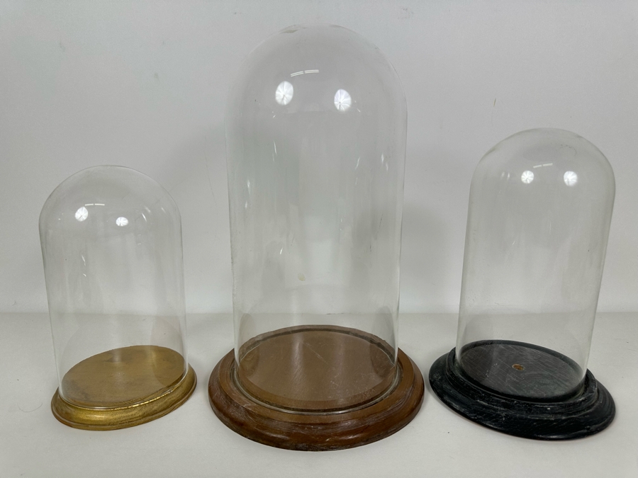 Wooden Stands With Glass Domes 7H-11.5H [Photo 2]