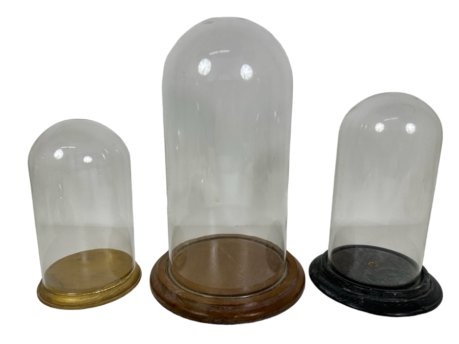 Wooden Stands With Glass Domes 7H-11.5H [Photo 1]