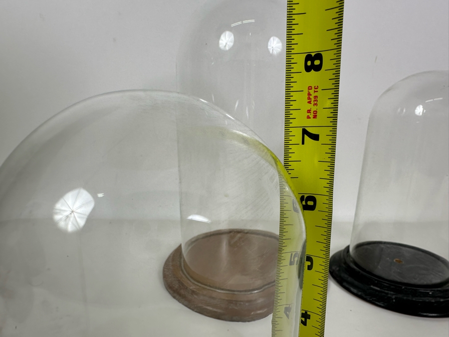 Wooden Stands With Glass Domes 7H-11.5H [Photo 5]