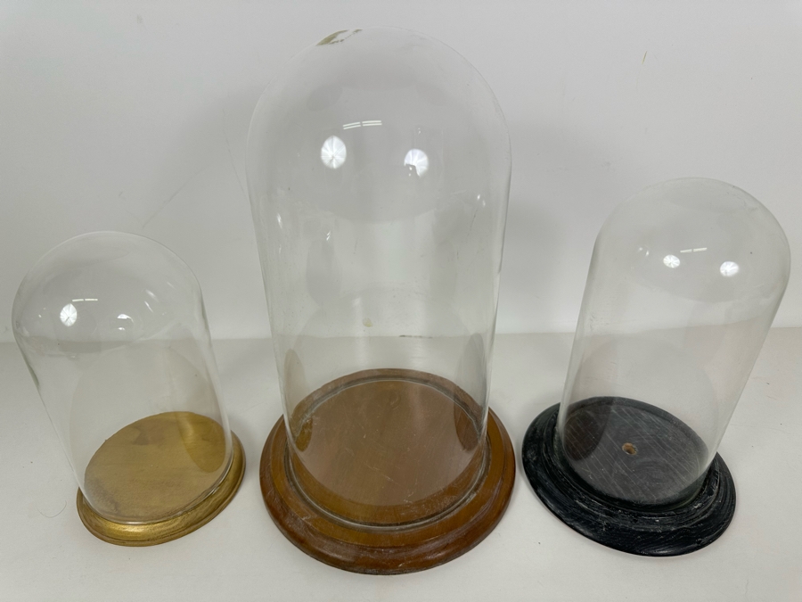Wooden Stands With Glass Domes 7H-11.5H [Photo 3]
