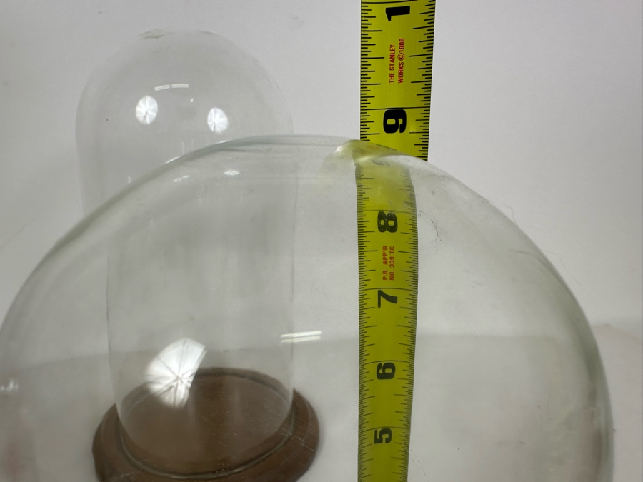 Wooden Stands With Glass Domes 7H-11.5H [Photo 7]