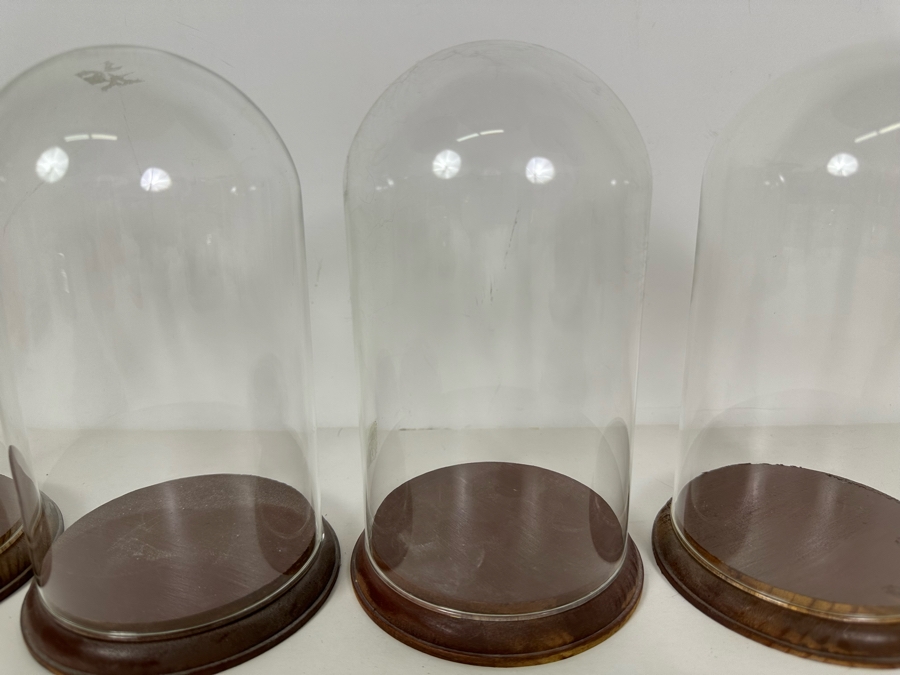 Wooden Stands With Glass Domes 4.5W X 7.5H [Photo 4]