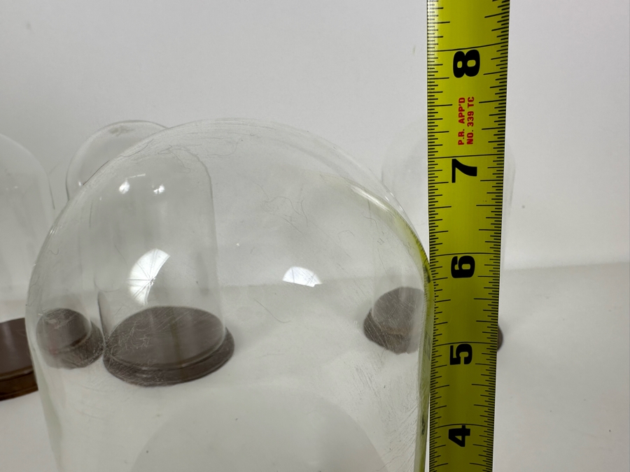 Wooden Stands With Glass Domes 4.5W X 7.5H [Photo 6]