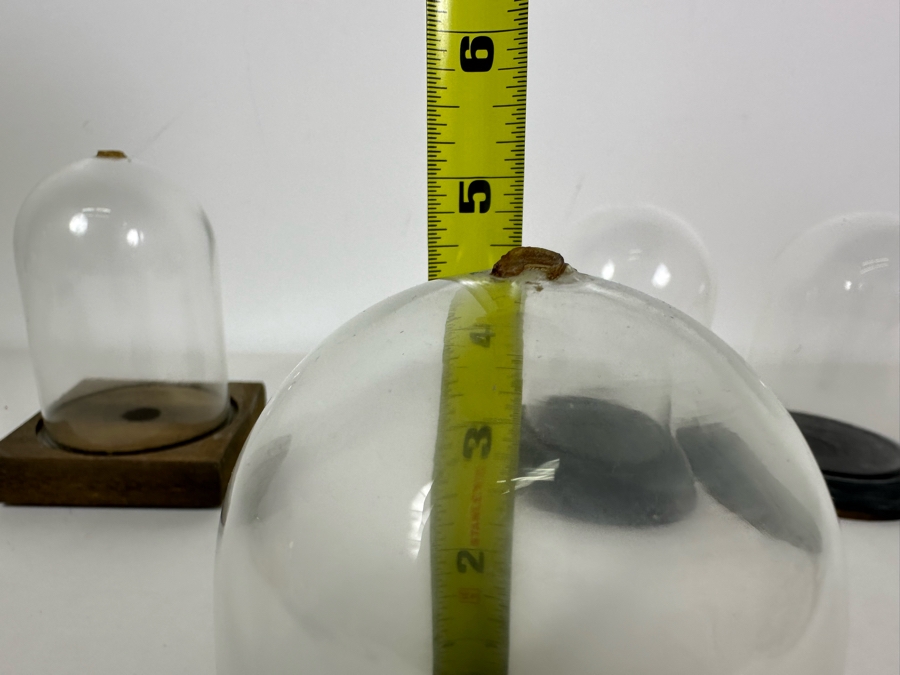 Wooden Stands With Glass Domes 3.5W X 5H (L) / 4W X 4.5H [Photo 7]