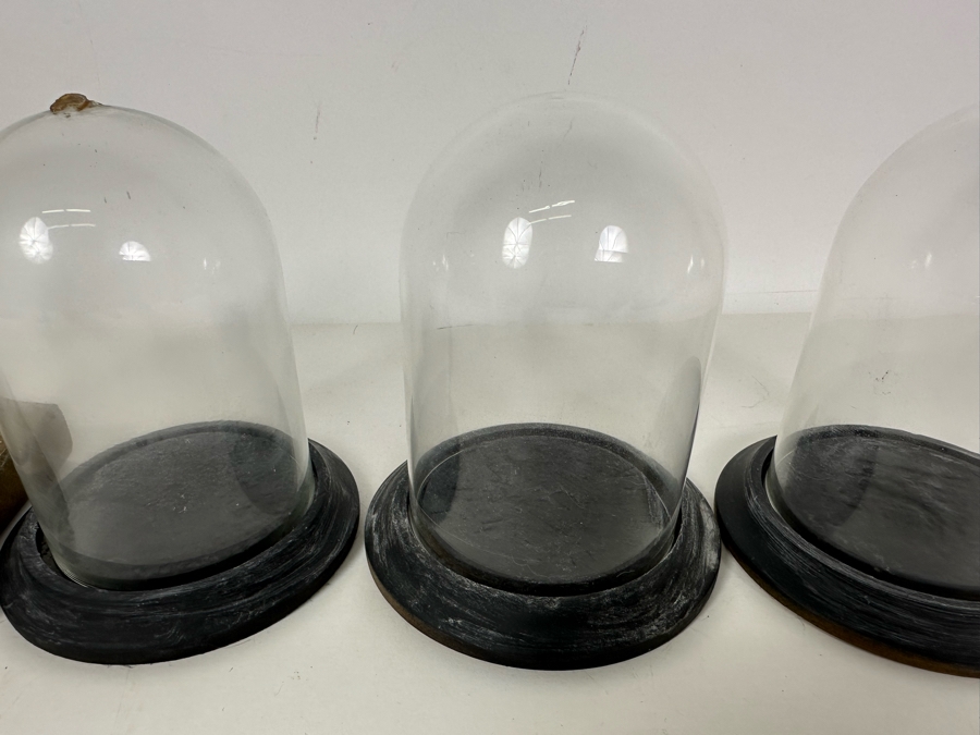 Wooden Stands With Glass Domes 3.5W X 5H (L) / 4W X 4.5H [Photo 3]