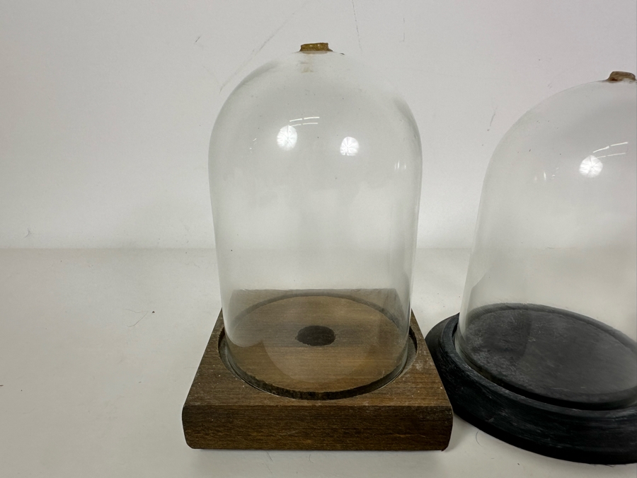 Wooden Stands With Glass Domes 3.5W X 5H (L) / 4W X 4.5H [Photo 4]
