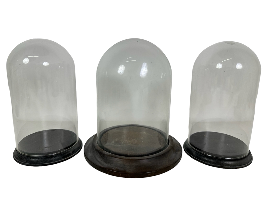 Wooden Stands With Glass Domes 7W X 7.5H / 4.5W X 7.5H [Photo 1]