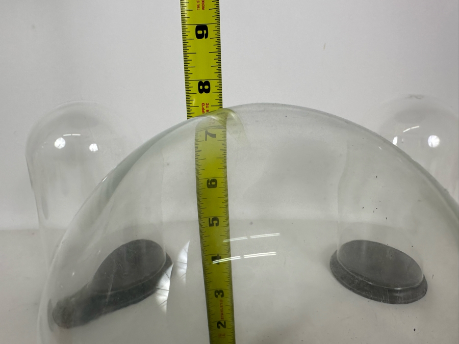 Wooden Stands With Glass Domes 7W X 7.5H / 4.5W X 7.5H [Photo 5]