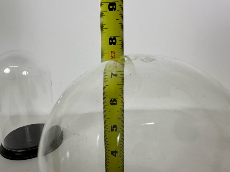 Wooden Stands With Glass Domes 7W X 7.5H / 4.5W X 7.5H [Photo 7]