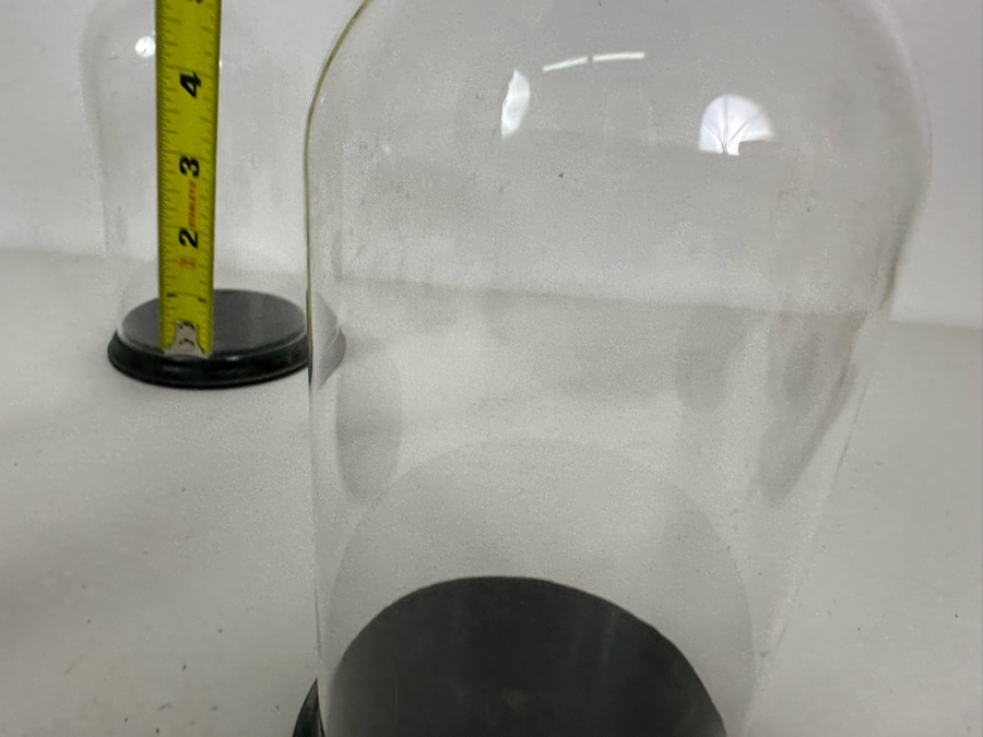 Wooden Stands With Glass Domes 7W X 7.5H / 4.5W X 7.5H [Photo 8]