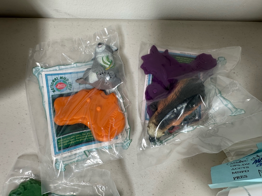 National Wildlife Federation Dairy Queen Happy / Kid's Meal Toys Project Box With Prototype Toy Samples Designed By The CDM Company 1996 [Photo 12]