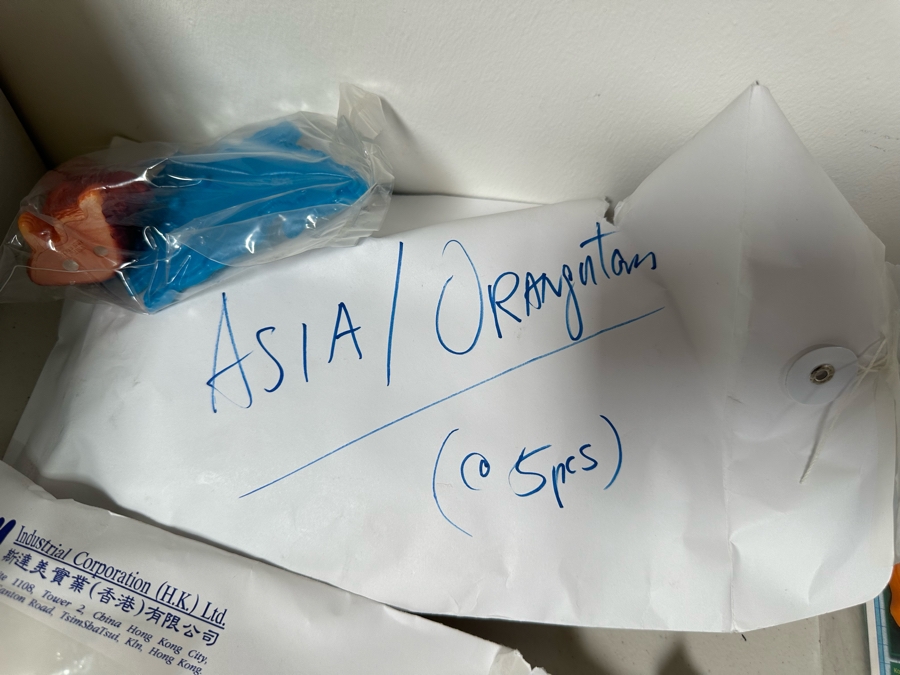 National Wildlife Federation Dairy Queen Happy / Kid's Meal Toys Project Box With Prototype Toy Samples Designed By The CDM Company 1996 [Photo 14]