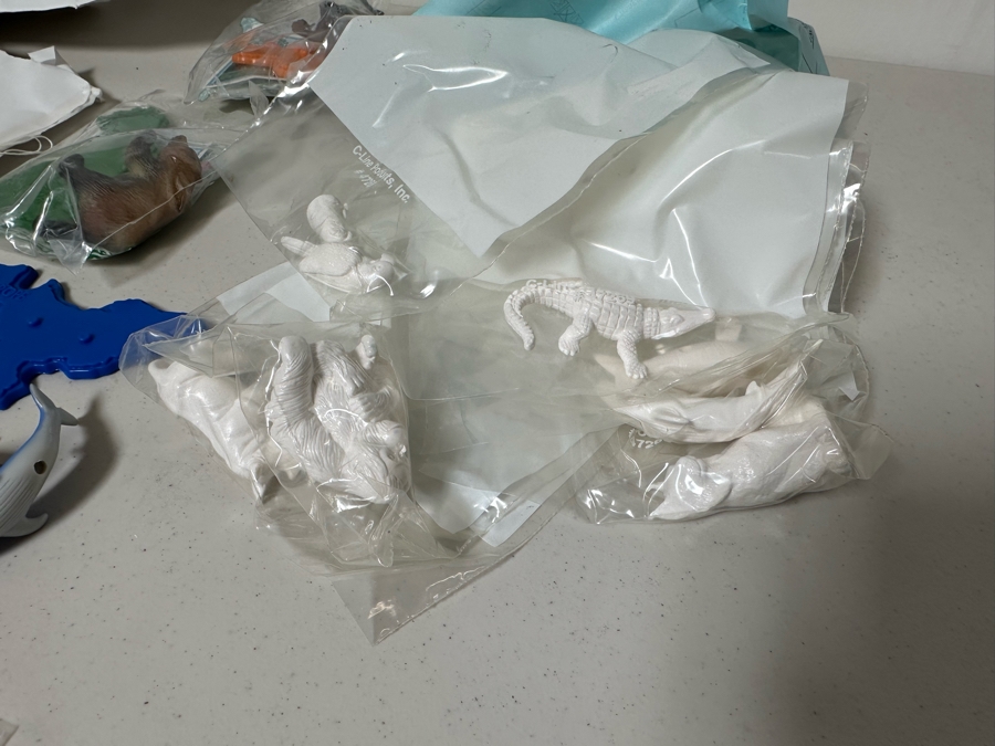 National Wildlife Federation Dairy Queen Happy / Kid's Meal Toys Project Box With Prototype Toy Samples Designed By The CDM Company 1996 [Photo 2]