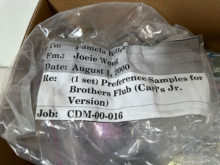 The Brothers Flub Animated TV Series Carl's Jr. / Hardee's Happy / Kid's Meal Toys Project Box With Prototype Toy Samples Cool Kids Designed By The CDM Company 2000 [Photo 20]