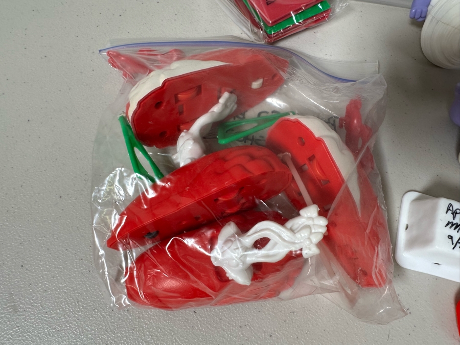 Tiny Toon Adventures Animated TV Series Carl's Jr. / Hardee's Happy / Kid's Meal Toys Project Box With Prototype Toy Samples Cool Kids Designed By The CDM Company 2000 [Photo 9]