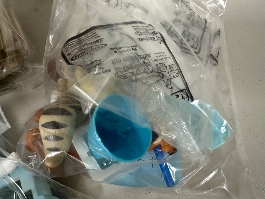 Ice Age Movie Carl's Jr. / Hardee's Happy / Kid's Meal Toys Project Box With Prototype Toy Samples Cool Kids Designed By The CDM Company 2003 [Photo 22]