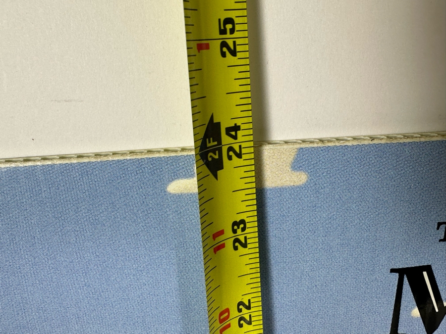 Disney's Toy Story Minute Maid Mail-In Offer Cardboard Promotional Store Poster 36 X 24 With Rex & Woody Squeeze Bottles [Photo 11]