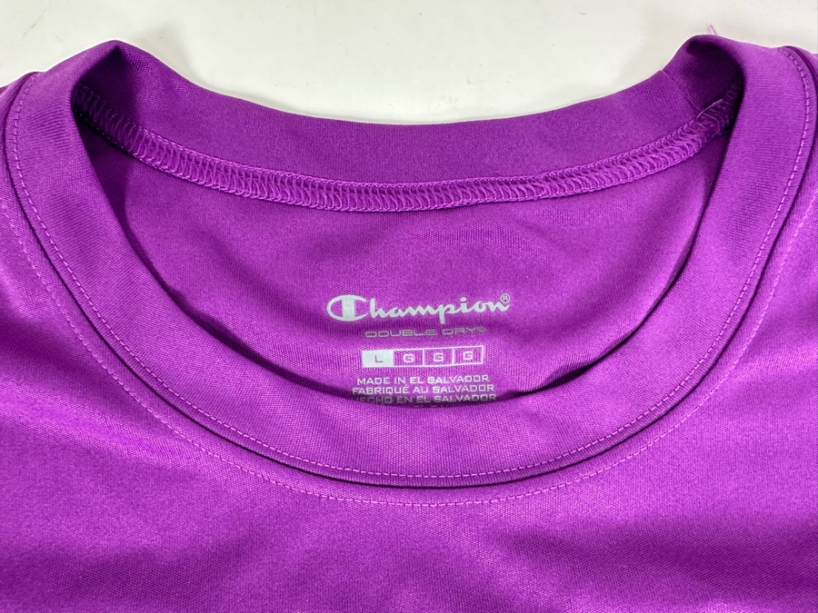 Disneyland Resort Inaugural Pixie Dust Challenge 2015 T-Shirt Size Large And Star Wars Galaxy's Edge T-Shirt Size XL [Photo 3]